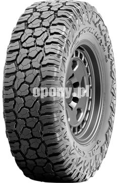 Wildpeak R/T RT01