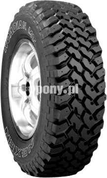 ROADIAN MT